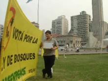 Colaborando con Greenpeace por la Ley de Bosques Nativos en el Senado